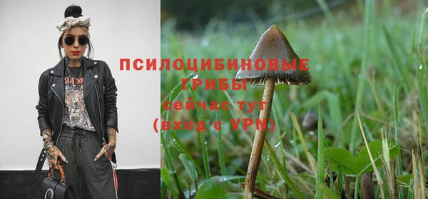 трава Михайлов
