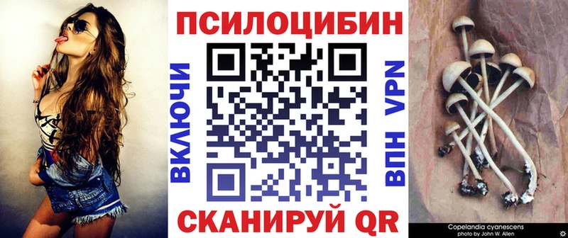 Купить закладки Анадырь Псилоцибиновые грибы Psilocybine cubensis
